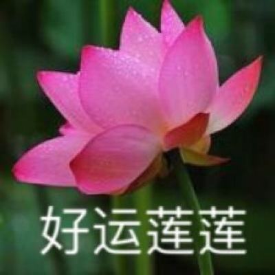 云南发布10条铸牢中华民族共同体意识主题旅游线路